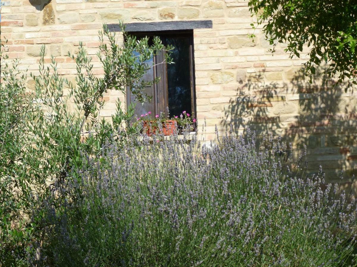 Il Casale Di Aurora Country House Colmurano Exterior foto